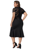 Black Lace Panel Peplum Hem Plus Size Sheath Dress - Aoka Styles Australia