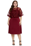 Burgundy Plus-Size Knee-Length MOB Dress with Shawl - Aoka Styles Australia