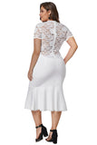 White Lace Panel Peplum Hem Plus Size Sheath Dress - Aoka Styles Australia