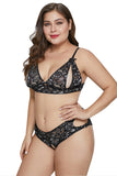 Plus Size Peek-a-boo Floral Bralette Set - Aoka Styles Australia